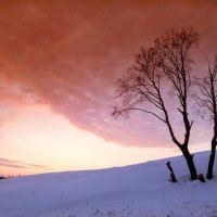 Закат в снегах :: Валерий Талашов