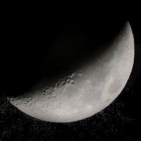 moonrise :: noanoa delmar 