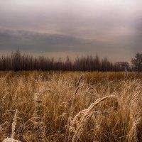 Русское поле :: Иван Анисимов