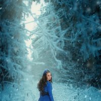 Зимний лес :: Анастасия Гавва