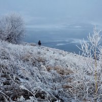 Небесных мыслей чтец... :: Александр | Матвей БЕЛЫЙ