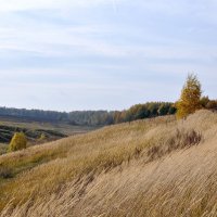 Ветер в поле гонит травы. :: Алексей .