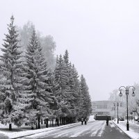 Город в ноябре :: Виктор Четошников