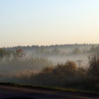 Утренний туман :: Наталия 