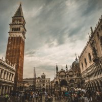 Venice :: Irene Freud