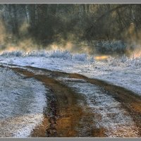 Дорога в зиму... :: Olenka 