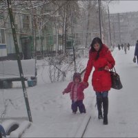 Снежная прогулка :: Нина Корешкова