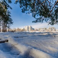 первый день зимы :: Евгений .