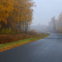 Дорога в осень :: Юрий Морозов