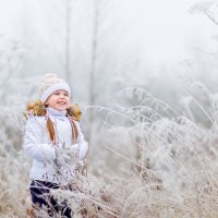 С первым днем зимы! :: Анна Димант