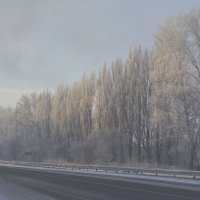 Зимовий пейзаж :: Дмитрий Гончаренко 