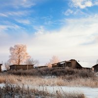 Зима... в деревне. :: Александр Никитинский
