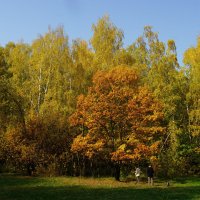 прогулка по осеннему парку :: Зайцева-Карих Татьяна 