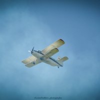 Ан-2 :: Вадим Куликов 