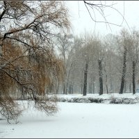 Зима. :: Николай   Тесля 