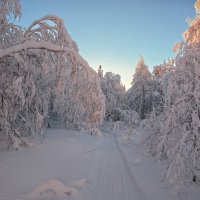 Зимняя дорога :: vladimir Bormotov
