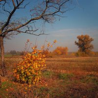 Когда-то и я таким выросту... :: Егор Плетенец