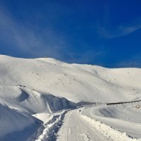 ***** :: Андрей Гомонов