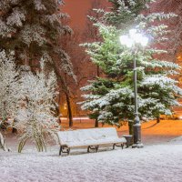 Белая в городе :: Евгений Никифоров