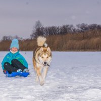 упряжка :: Евгений Евгений