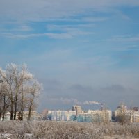 Зимний пейзаж :: Наталья Шевякова