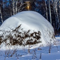 сено :: радик 