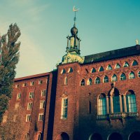 Стокгольмская ратуша на рассвете :: Алексей 