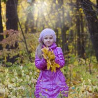 Осенняя листва :: Светлана Мальцева