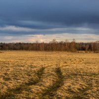 Охотничьи дорожки :: Евгений Никифоров