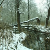 Климовск :: Владимир Холодницкий