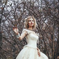Лесная невеста :: Аверина Елизавета 