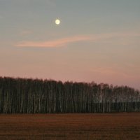 По дороге на дачу :: Алексей Оводов