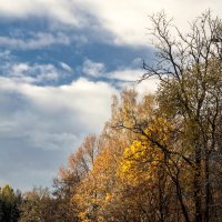 Осень в Павловске :: Сергей Политыкин