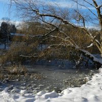 У пруда в парке (High Park, Toronto) :: Юрий Поляков