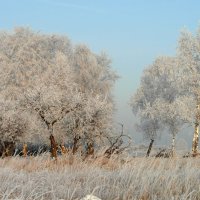 Сказка о зиме. :: nadyasilyuk Вознюк