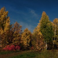 осень :: ильнур 