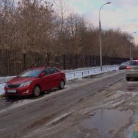 Какой-то весенний декабрь! :: Светлана Лысенко