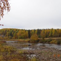 Ухта, река Чуть, осень 2013г. :: Первышина Валентина 
