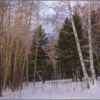 09.Короткий день в декабре :: Владимир Холодный