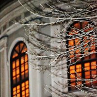 Ночной храм через серебряные ветви :: selenoglaska.700@yandex.ru 
