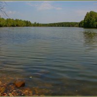 водная гладь :: Дмитрий Анцыферов