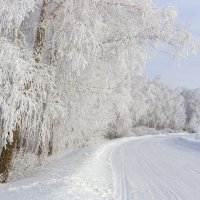 Зимняя дорога. :: Kassen Kussulbaev