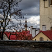 Старый Таллин :: Андрей Илларионов