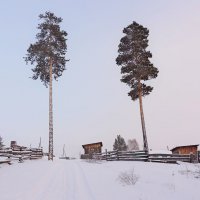 Вдвоем веселее на морозе :: Ольга 