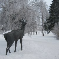 Декабрь. Омск (центр) :: Елена Годенко