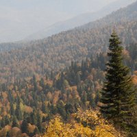 Осень в горах Кавказа :: Медведев Сергей 