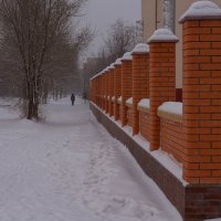 Утренняя прогулка :: Марат Рысбеков