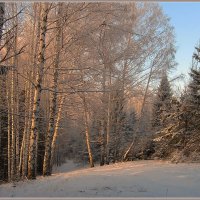 Морозный закат :: Olenka 