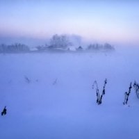В снежных полях :: Валерий Талашов