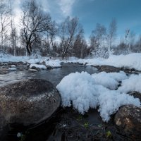 Река Вторая Кокша - край, где зимуют лебеди :: Денис Соломахин